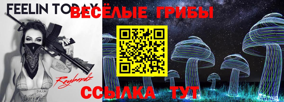 Сыктывкар  Псилоцибиновые грибы MAGIC MUSHROOMS  Вход с VPN 
