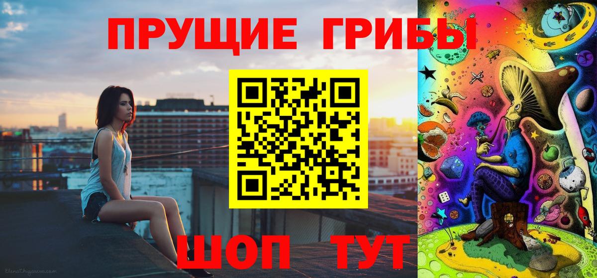 Галлюциногенные грибы прущие грибы Сыктывкар